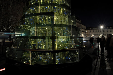 Fabien Magigue 2021, Le sapin de verre, Bordeaux