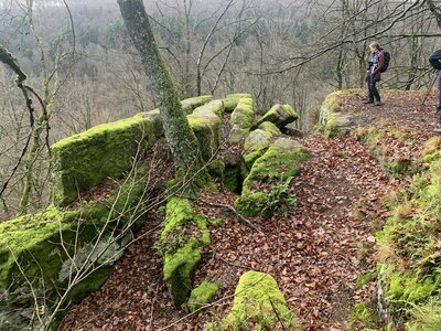 Rando autour de Saverne, 255fa75c-51ac-4932-92c9-5092165c277d-0