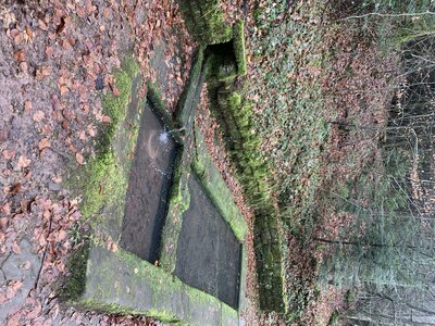Rando autour de Saverne, 305dbe49-21fe-4fe6-a6d2-4d04b950dffb-0