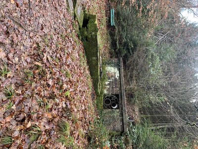 Rando autour de Saverne, df62ed7e-d21d-4830-bc31-3223aae5cbe4-0