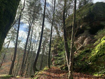 Rando autour de Saverne, e631449c-f05a-4fc6-a852-1bc728eb6bd4-0