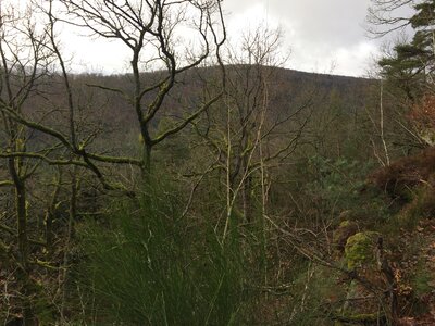 Rando autour de Saverne, IMG_1003