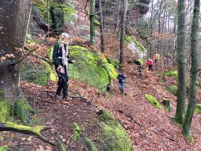 Rando autour de Saverne, IMG_1007