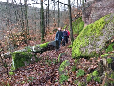 Rando autour de Saverne, IMG_1015