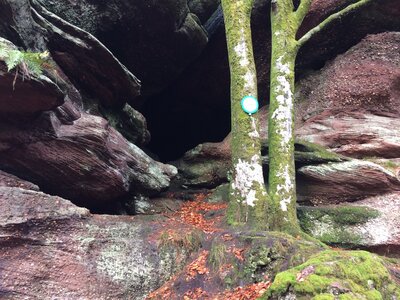 Rando autour de Saverne, IMG_1019