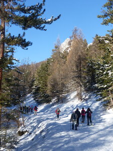2022 01 11 Boucle cabane de Joubelle, 2022_01_11 Boucle cabane de Joubelle 104