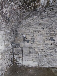XIV Griffons, IMG_20211208_103835