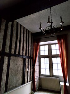 XIV Griffons, IMG_20211208_111924