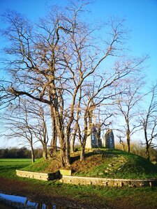 Ces arbres de la Pévèle et du PNR Scarpe Escaut que l'on pourrait considérer comme remarquables ..., Les robiniers du calvaire de Bouvignies