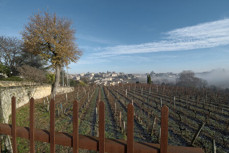 Fabien Magigue 2021, Saint-Emilion