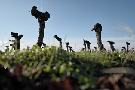 Fabien Magigue 2021, Saint-Emilion