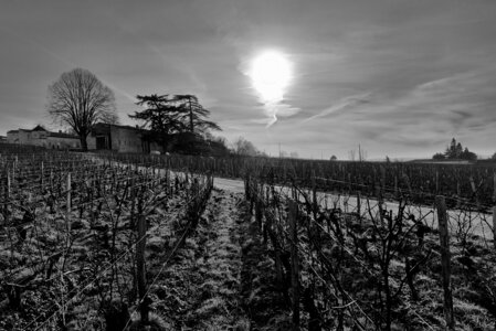 Fabien Magigue 2021, Saint-Emilion