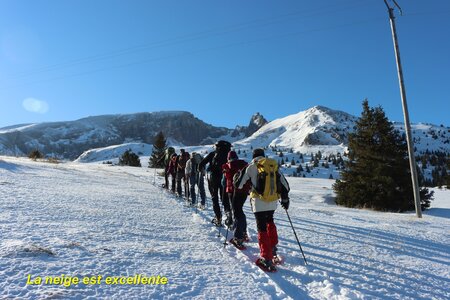 Raquettes au col de Rabou, Raquettes au col de Rabou 005