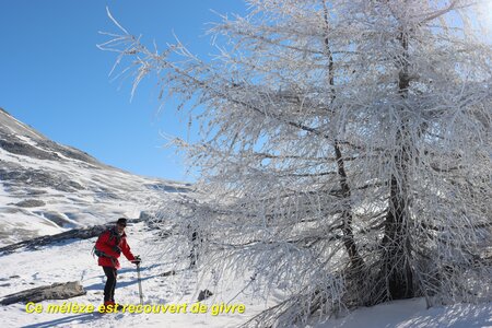 Raquettes au col de Rabou, Raquettes au col de Rabou 008