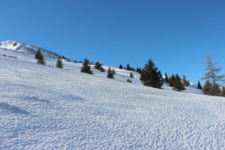 Raquettes au col de Rabou, Raquettes au col de Rabou 022