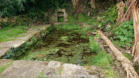 Compléments, 2-LF SteBbrigitte-Porsmeur BarbaraPinaton 1241-2-36