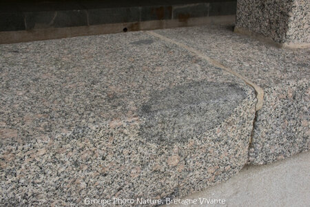 Compléments, 64-46 Granite de l’Aber-Ildut GhislaineAiraud 9712-2-72