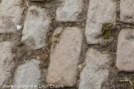 Compléments, 64-46 microgranite de l’Ile-longue MarieM.LouisChauris 1080155-2-1