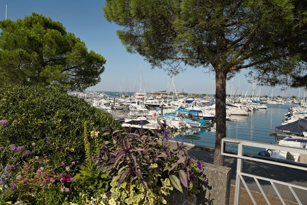 Bassin d'Arcachon, _K1_1427