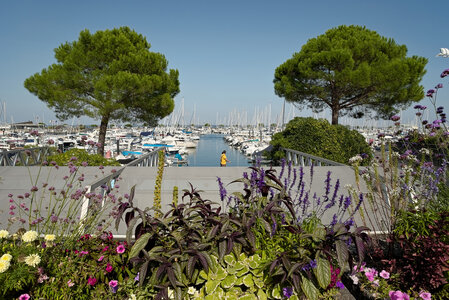 Bassin d'Arcachon, _K1_1432 retraitée