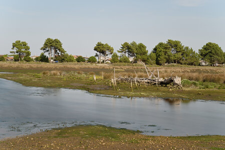 Bassin d'Arcachon, _K1_1477
