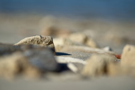 Bassin d'Arcachon, _K1_1984