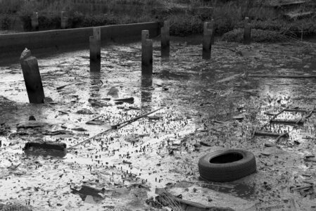 Bassin d'Arcachon, _K1_2049