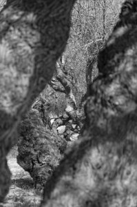 Bassin d'Arcachon, _K5_S3_3620-1