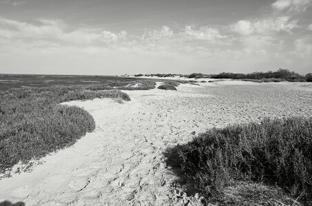 Bassin d'Arcachon, _K5_S3_3655-1
