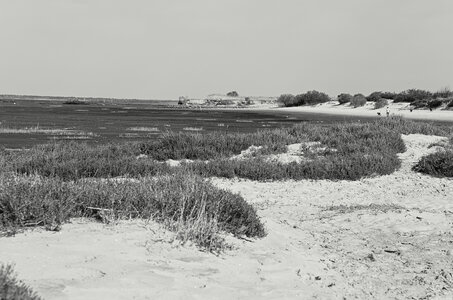 Bassin d'Arcachon, _K5_S3_3656-1