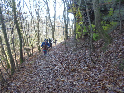 Rando Eckartswiller, DSC01334
