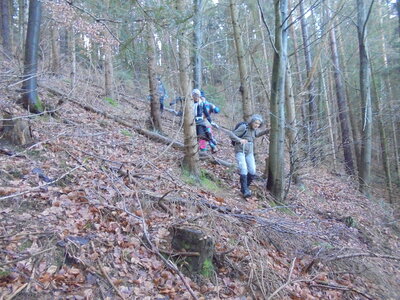 Rando Eckartswiller, DSC01335