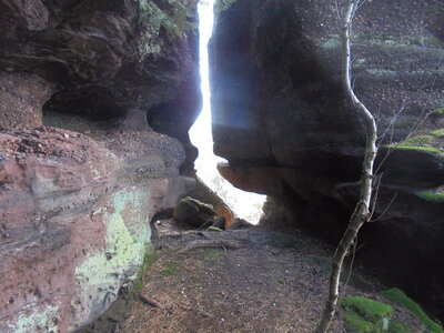 Rando Eckartswiller, DSC01336