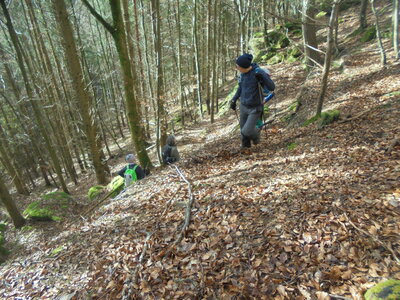 Rando Eckartswiller, DSC01338