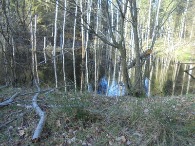 Rando Eckartswiller, DSC01350