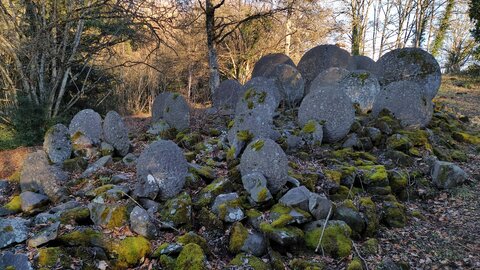 Le chemin Fais'Art, IMG_20220209_164755