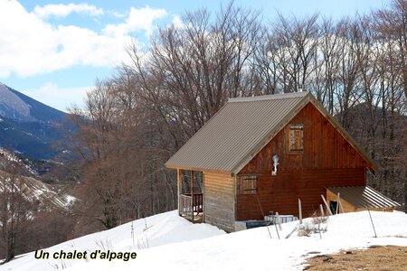Raquettes au Chalet Pastoral de Chazal, Raquettes au Vallon de l’Abéou 008