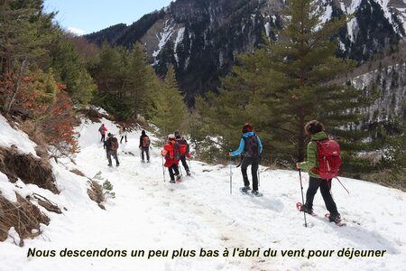 Raquettes au Chalet Pastoral de Chazal, Raquettes au Vallon de l’Abéou 010