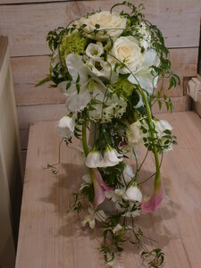 FLEURS - MAGASIN PARFUM DE FLEURS, P1030114