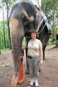 inde du sud / gilles, IMG_6192