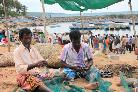 inde du sud / gilles, IMG_6539