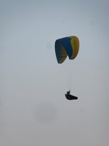 Dimanche 20 mars, IMG_2647