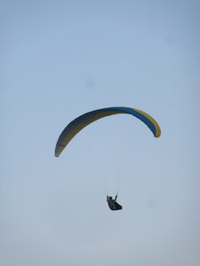 Dimanche 20 mars, IMG_2646