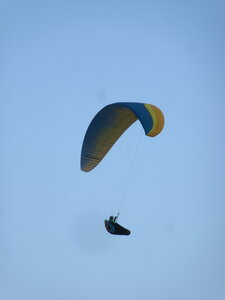 Dimanche 20 mars, IMG_2645