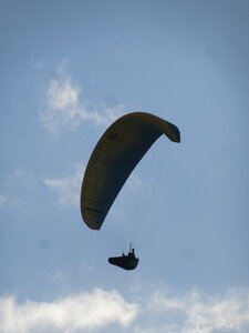 Dimanche 20 mars, IMG_2643