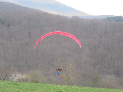 Dimanche 20 mars, IMG_2640