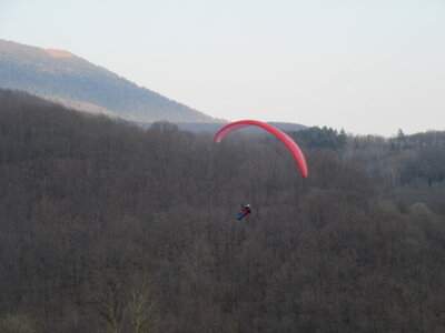 Dimanche 20 mars, IMG_2639