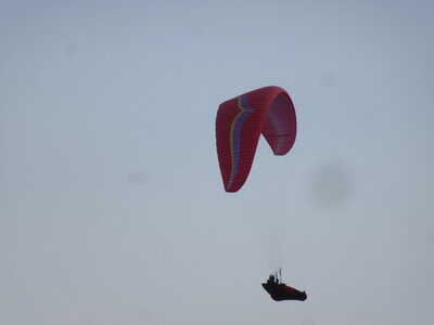 Dimanche 20 mars, IMG_2635