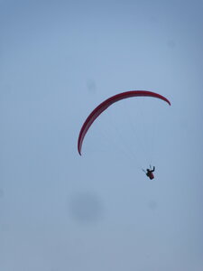 Dimanche 20 mars, IMG_2634