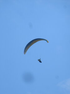 Dimanche 20 mars, IMG_2633